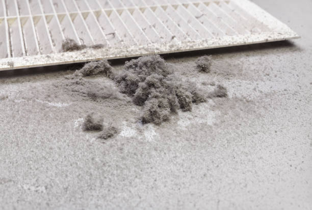 Best Professional Duct Cleaning Services  in Sioux Center, IA
