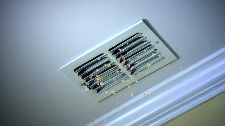 Best Dryer Vent Cleaning Services  in Sioux Center, IA