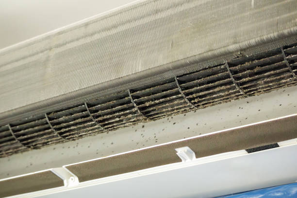 Best Air Duct Cleaning Company Near Me  in Sioux Center, IA